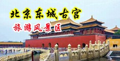 不要扣嫩穴好舒服啊哼哼哼啊嗯中国北京-东城古宫旅游风景区